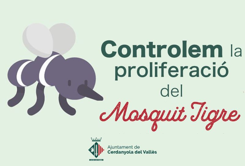 Campanya municipal de prevenció de la proliferació del mosquit tigre